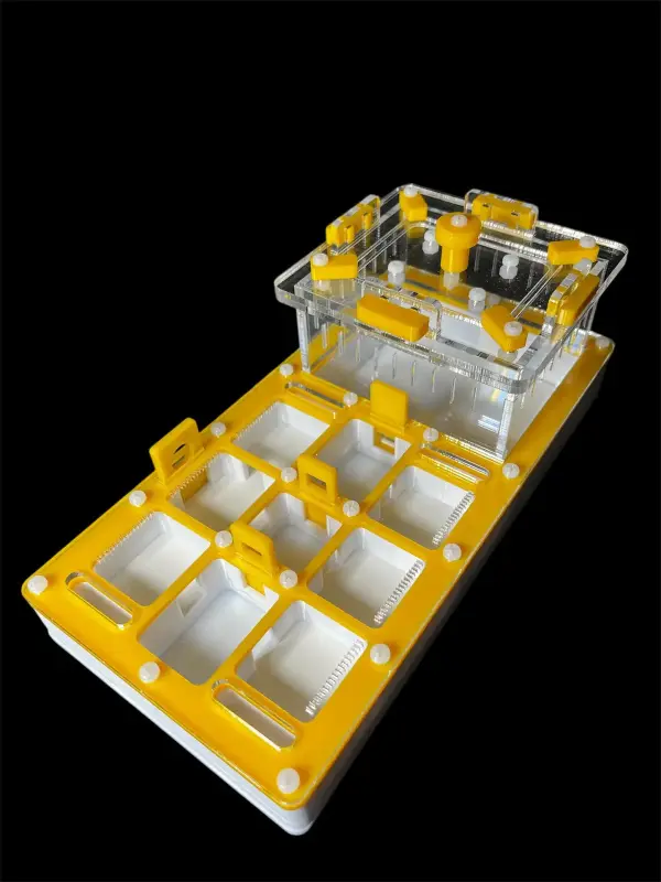 Муравьиная ферма ANTMART Apex Yellow, вариант A, 220×110 мм