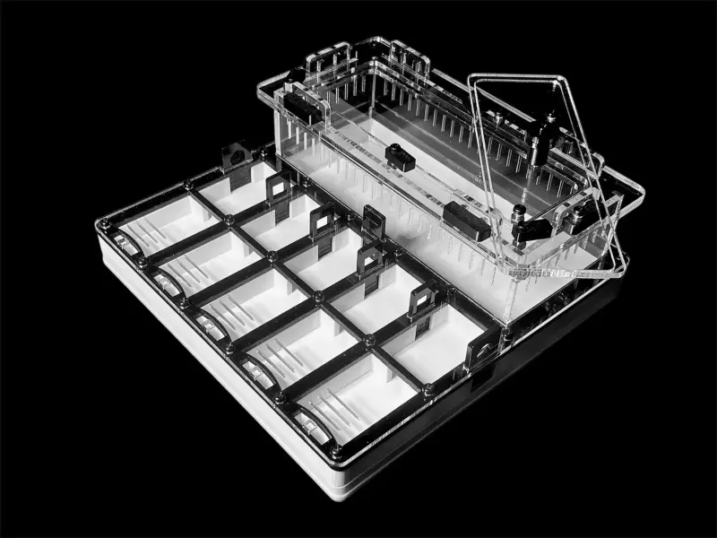 Гипсовая муравьиная ферма ANTMART Grid Black 200×200, Вариант Б