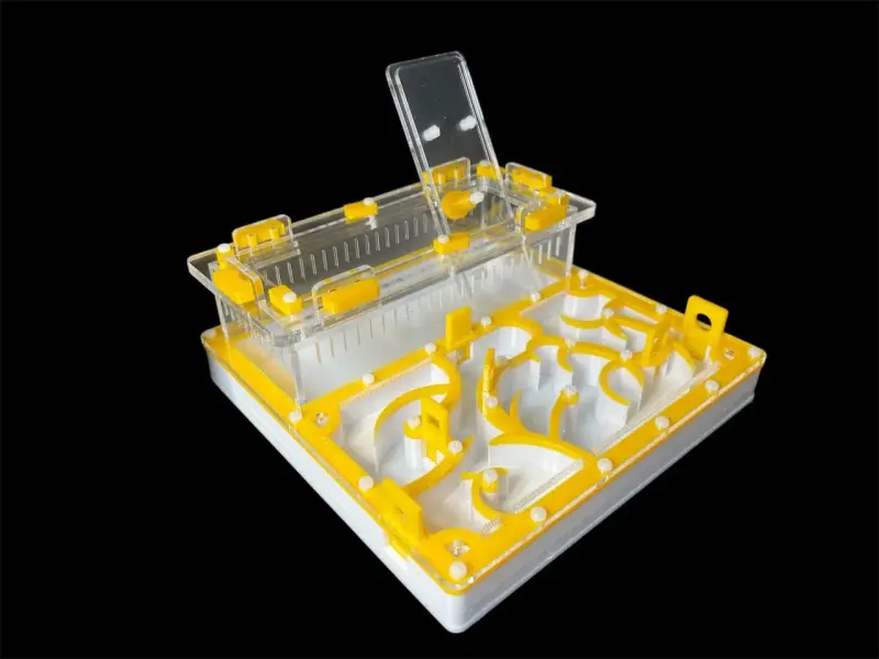 Муравьиная ферма ANTMART Origin Yellow A 200×200 мм
