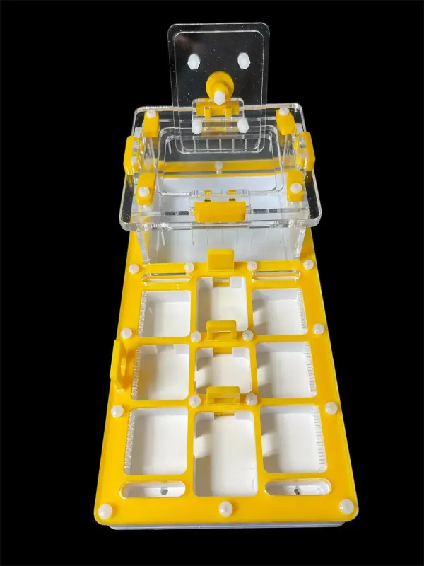 Муравьиная ферма ANTMART Apex Yellow Б, 220×110 мм