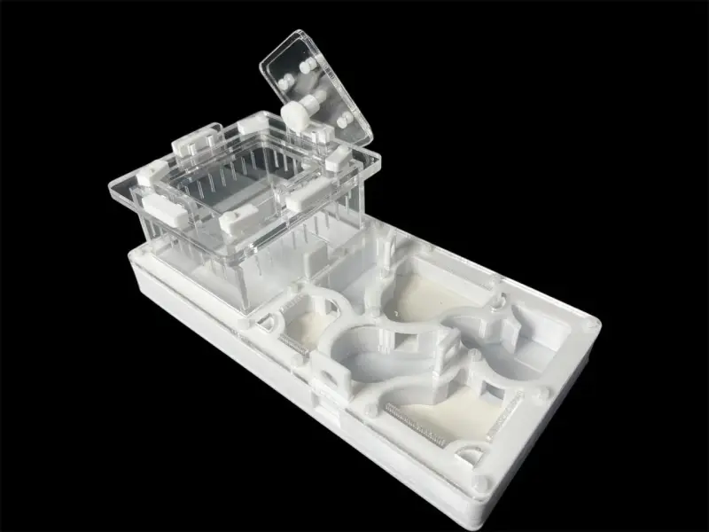 Формикарий ANTMART Organic White 220x110 мм, Вариант А