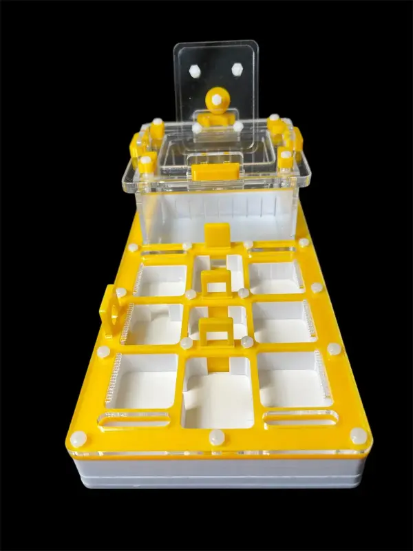 Муравьиная ферма ANTMART Apex Yellow Б, 220×110 мм
